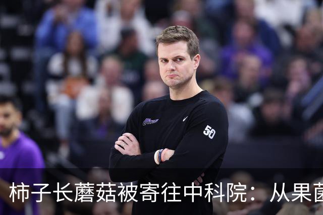 柿子长蘑菇被寄往中科院：从果菌王到好柿多蘑的全民科研